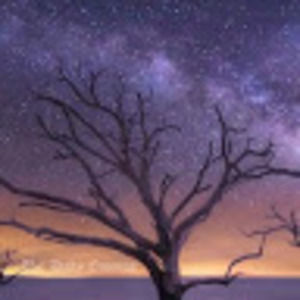 Meet your Posher, Bodhilady